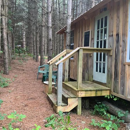 D & K Ranch “Max'S Cabin” Interlaken 外观 照片