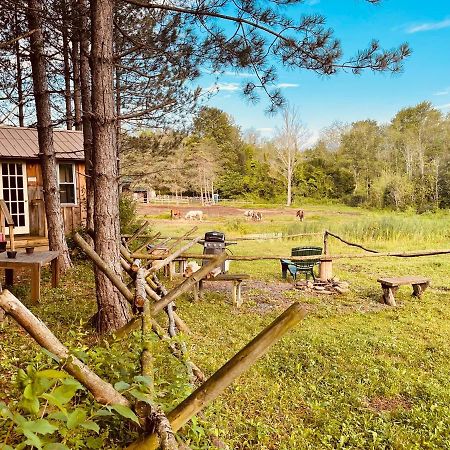 D & K Ranch “Max'S Cabin” Interlaken 外观 照片
