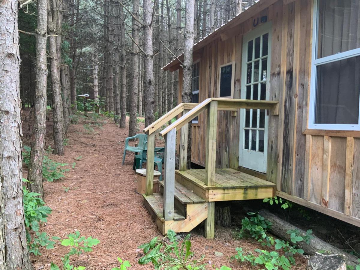 D & K Ranch “Max'S Cabin” Interlaken 外观 照片